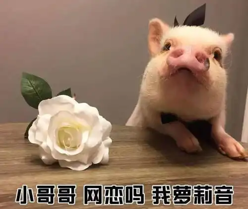 变声器表情包网恋