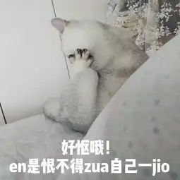  全新猫咪斗图表情包来啦