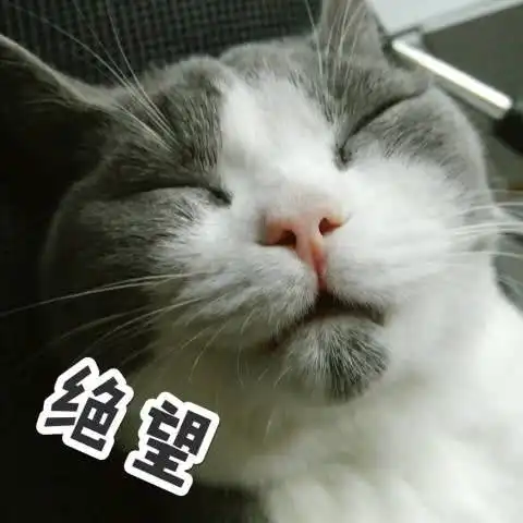  是时候收藏一波猫咪表情包了以后斗图就用这个了
