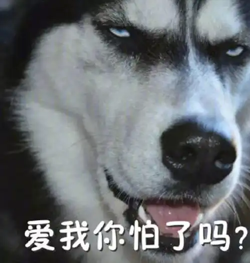 大笑动图表情包哈士奇