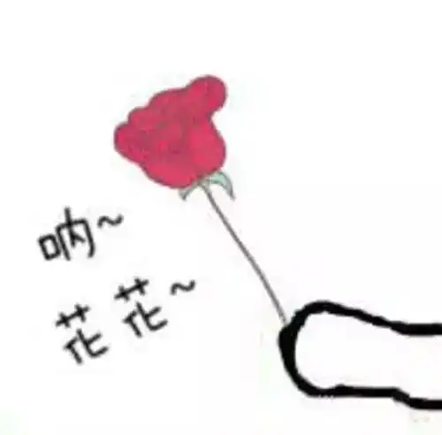  西瓜还用勺子挖着吃就out啦这样切不流汁不脏手,家人都说好
