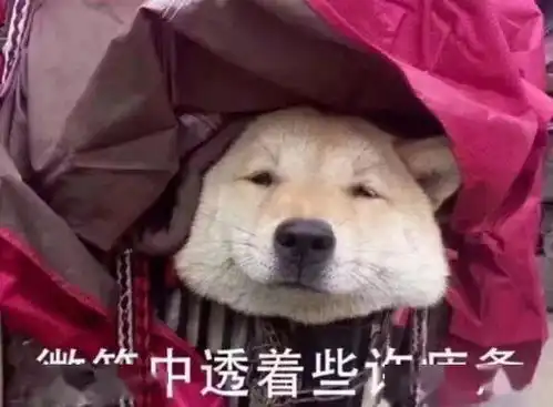  表情包哈哈哈