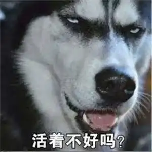  不只是香蕉和枣,这些神秘配方你敢尝试几个