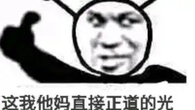  漆黑的魅影第十二期获得四个徽章,再回橙华市