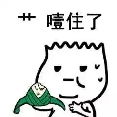  端午节专用斗图表情包,鄙视不发粽子的群主