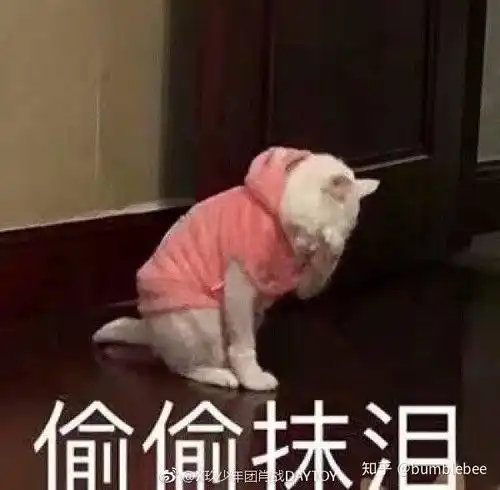 哦豁表情包无水印偷偷