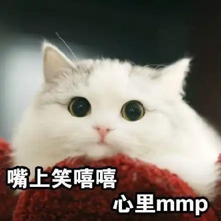  新版全是猫表情包来了,哈哈太逗了
