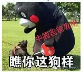  网络大战靠表情包了,加油吧,骚年