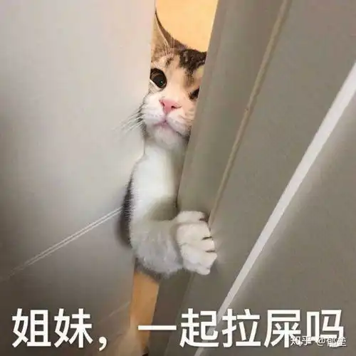 你们上厕所大号都多长时间呢