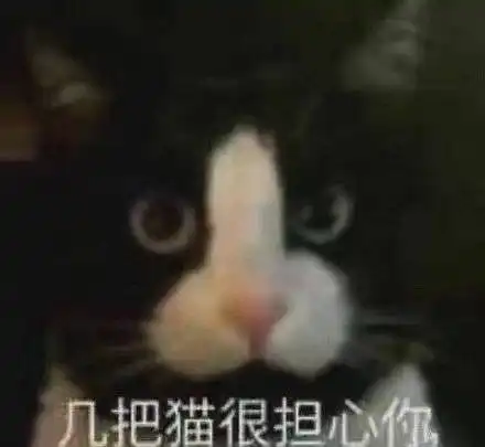 猫猫表情包高清旅行青蛙