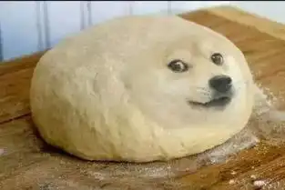  满满精神污染的doge表情包,本体是只软妹柴