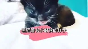  超级奶狗大挑战马里奥附身,顺利通关