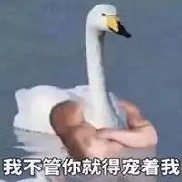 简笔画鸭子表情包比心