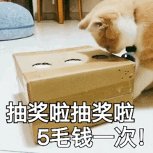  可买猫咪的表情包斗图专用