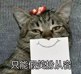  我养了7年的猫,每天都想趁机杀死我