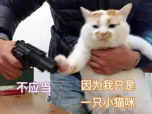  夏季补水,你一定需要这份超平价面膜安利