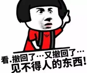  你撤回了一条消息,值得一看