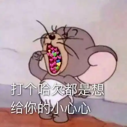  猫和老鼠表情包合集
