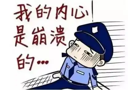  打110让民警介绍对象生活中这七件事才可拨打110