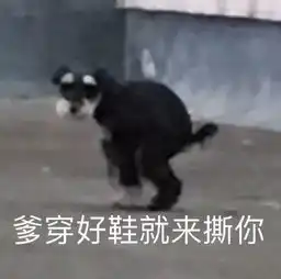 该挨打了表情包带鱼屏
