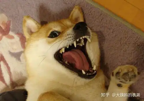  女孩子从来没有化过妆,要怎么化妆,有什么化妆品比较好用的