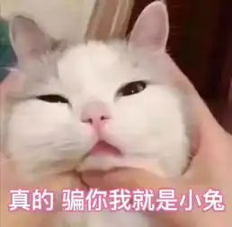  母亲节,这里免费护理包包,进店还送礼物