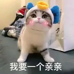 猫咪炫饭表情包