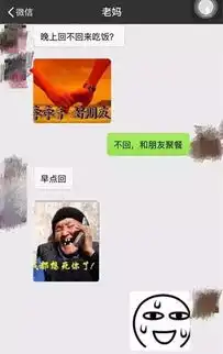  一对母女聊天记录曝光有一种代沟叫爸妈看不懂我的表情包
