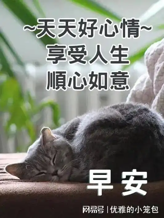  20231017星期二秋日清晨早上好动画表情美女图片带祝福语
