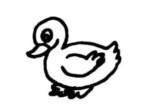  怎样画鸭简笔画