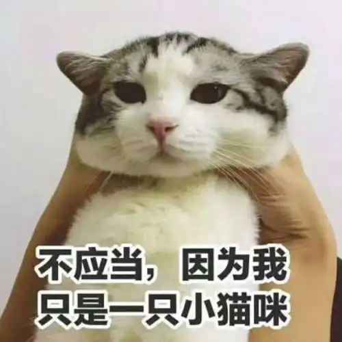  看到少女时代解约,突然想问问你们的青春都是谁