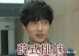  手机里没几张薛之谦的表情包,你还好意思说自己是谦友了