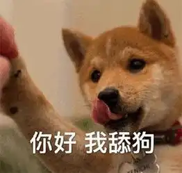  狗狗表情包确认过眼神,是不理的人