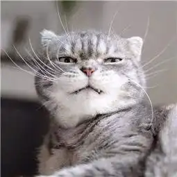  抖音社会猫图片大全下载抖音社会猫斗图无水印表情包图片大全分享v1.7.9嗨客安卓软件站