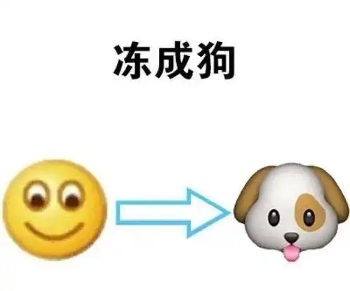 小红书表情包图片阵风
