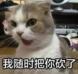 正在排便的表情包猫咪