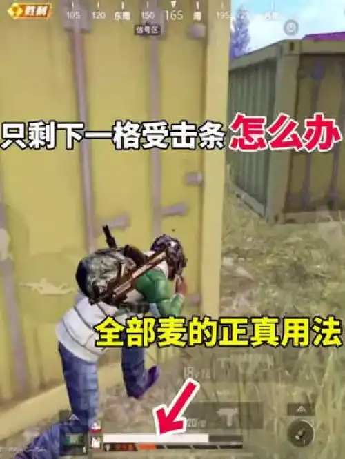 csgo陀螺表情包学废