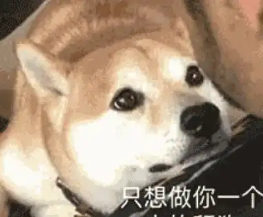  前有舔狗,后有舔猫,喵星人这是本喵见过最难舔的毛