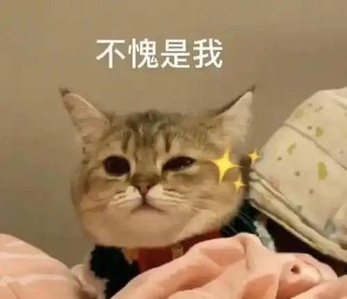  请叫我廷ting小泊而不是延yan小泊