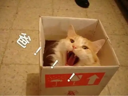  千万不要随便给爸妈发表情包