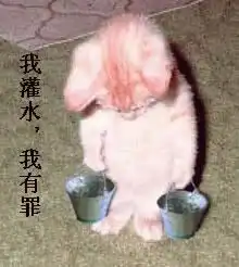 qq表情其它qq表情顶帖灌水我灌水,我有罪