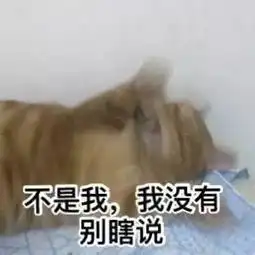 为什么很多人聊天都喜欢用猫咪表情包附最全猫咪表情包
