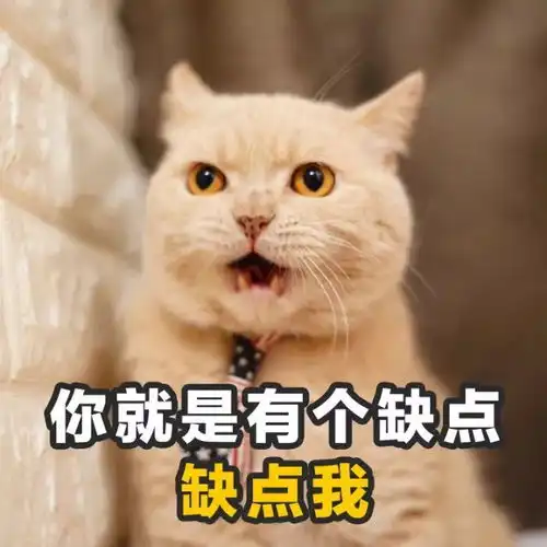 让自己走在潮流前端的土味情话撩人表情包