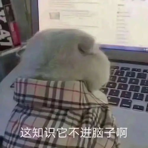 光遇好玩吗表情包搞笑段
