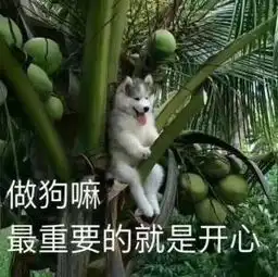  600可以收台se吗