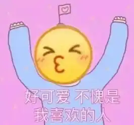 狗戴安全帽图片表情