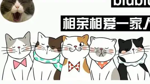  猫咪模仿小主人,这些奇葩坐姿都是跟它小铲屎官学的,动作表情都是一模一样