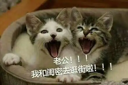  喊老公表情包大全喊老公的萌萌的表情包下载