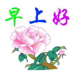  100张早上好表情包,让你100天的问候不重样赶快收藏转发吧