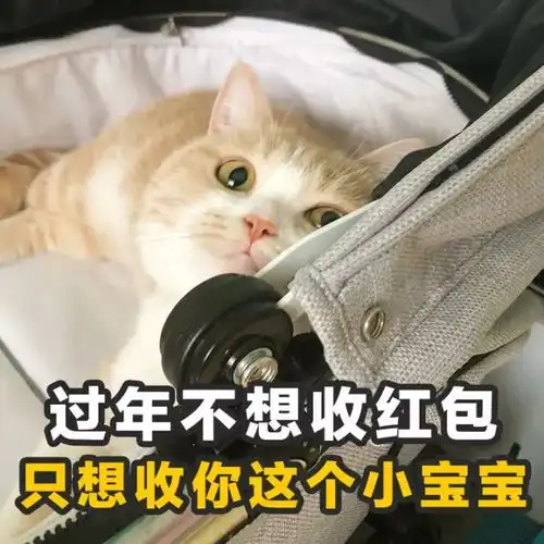  让自己走在潮流前端的土味情话撩人表情包